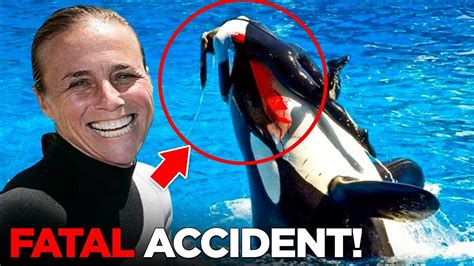 dawn brancheau|dawn seaworld trainer death video.